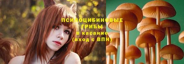 Альфа ПВП Балабаново