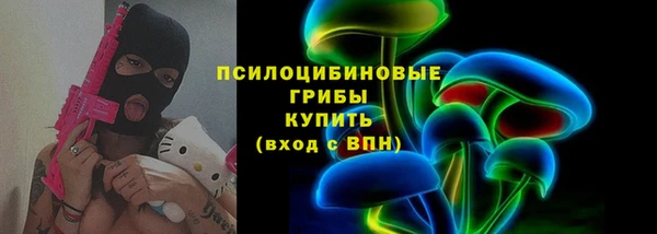 PSILOCYBIN Балахна