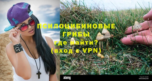 Альфа ПВП Балабаново